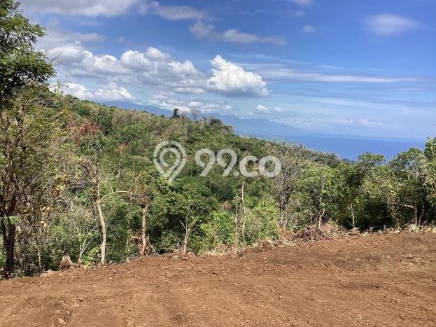 Tanah Dijual Area Strategis di Tigawasa Buleleng 5265m2 Tanah Dijual Area Strategis di Tigawasa Buleleng 5265m2