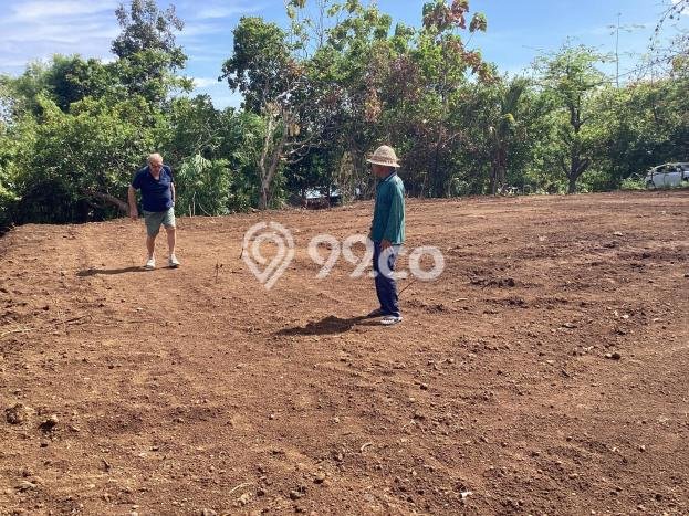 Tanah Dijual Area Strategis di Tigawasa Buleleng 5265m2 Tanah Dijual Area Strategis di Tigawasa Buleleng 5265m2