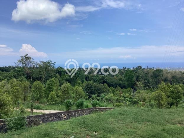 Kavling Tanah untuk Dijual di Lovina, Buleleng, Luas 500m2 Kavling Tanah untuk Dijual di Lovina, Buleleng, Luas 500m2