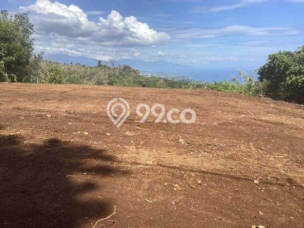 Tanah Dijual Area Strategis di Tigawasa Buleleng 5265m2 Tanah Dijual Area Strategis di Tigawasa Buleleng 5265m2