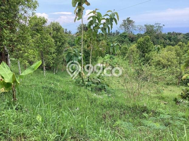 Kavling Tanah untuk Dijual di Lovina, Buleleng, Luas 500m2 Kavling Tanah untuk Dijual di Lovina, Buleleng, Luas 500m2