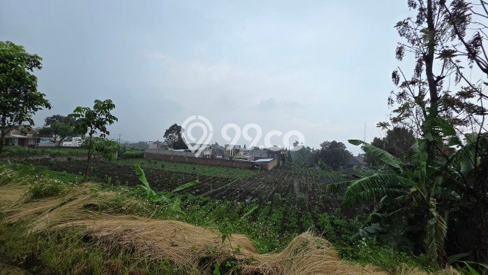 Tanah Siap Bangun Dijual di Bandung Punya Luas 3650m2 Tanah Siap Bangun Dijual di Bandung Punya Luas 3650m2