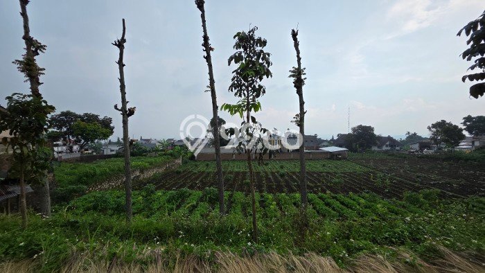 Tanah Siap Bangun Dijual di Bandung Punya Luas 3650m2 Tanah Siap Bangun Dijual di Bandung Punya Luas 3650m2