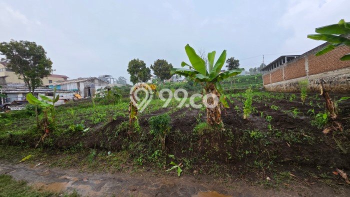 Tanah Siap Bangun Dijual di Bandung Punya Luas 3650m2 Tanah Siap Bangun Dijual di Bandung Punya Luas 3650m2