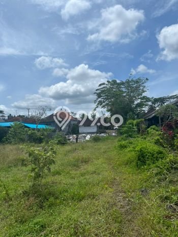 Untuk Dijual Tanah di Tabanan, Luas 7450m2 SHM Untuk Dijual Tanah di Tabanan, Luas 7450m2 SHM