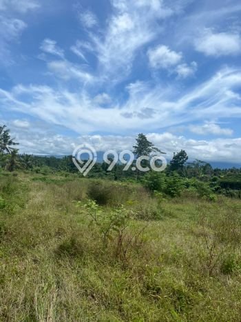Untuk Dijual Tanah di Tabanan, Luas 7450m2 SHM Untuk Dijual Tanah di Tabanan, Luas 7450m2 SHM