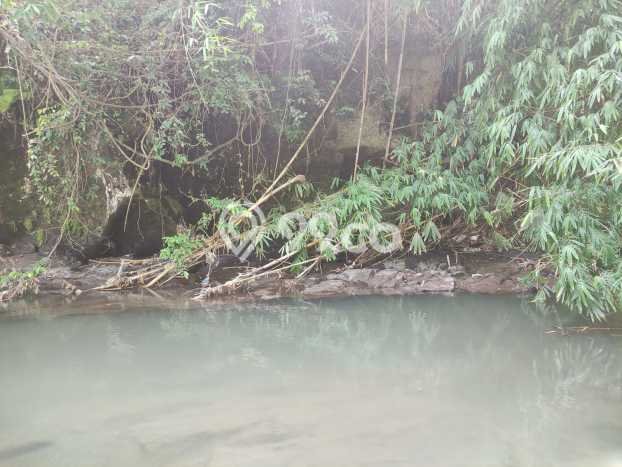 Tanah Dijual di Gianyar Seluas 3600m2 Strategis Tanah Dijual di Gianyar Seluas 3600m2 Strategis