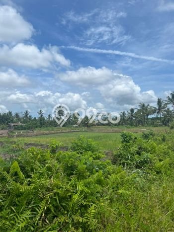 Untuk Dijual Tanah di Tabanan, Luas 7450m2 SHM Untuk Dijual Tanah di Tabanan, Luas 7450m2 SHM