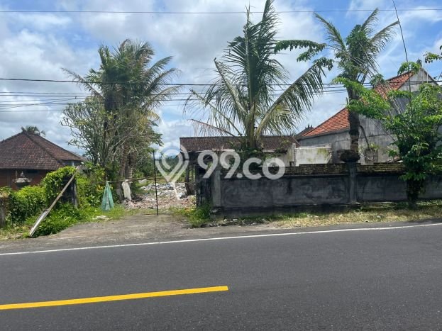 Untuk Dijual Tanah di Tabanan, Luas 7450m2 SHM Untuk Dijual Tanah di Tabanan, Luas 7450m2 SHM