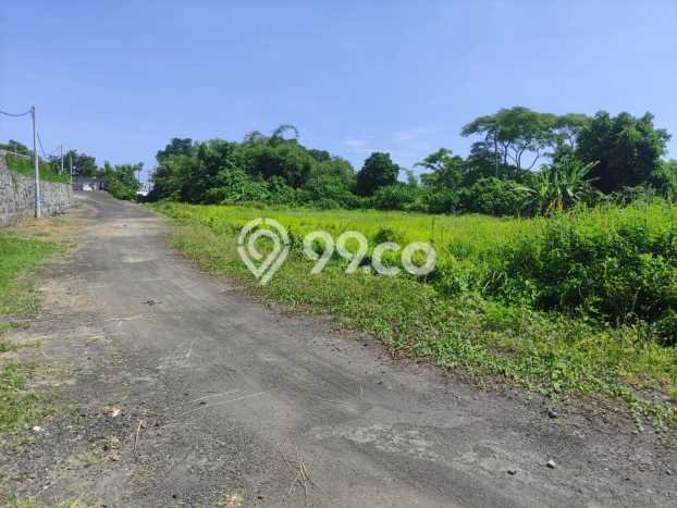 Tanah Dijual di Gianyar Seluas 3600m2 Strategis Tanah Dijual di Gianyar Seluas 3600m2 Strategis
