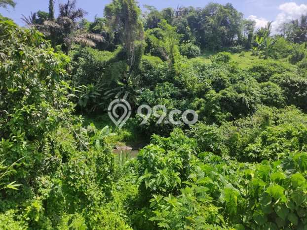 Tanah Dijual di Gianyar Seluas 3600m2 Strategis Tanah Dijual di Gianyar Seluas 3600m2 Strategis