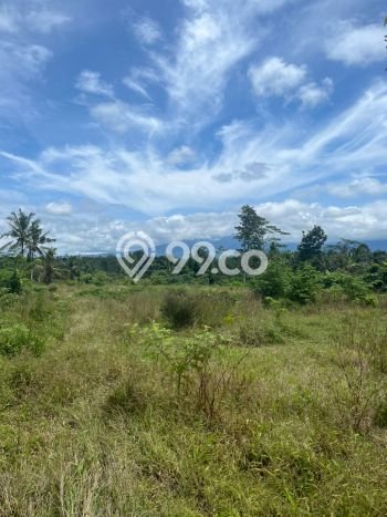 Untuk Dijual Tanah di Tabanan, Luas 7450m2 SHM Untuk Dijual Tanah di Tabanan, Luas 7450m2 SHM