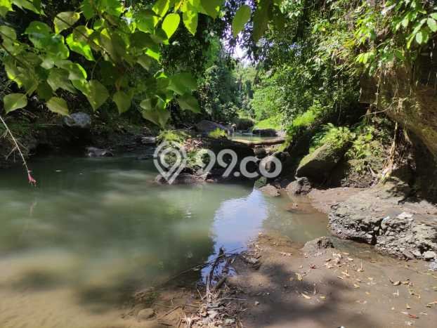 Tanah Dijual di Gianyar Seluas 3600m2 Strategis Tanah Dijual di Gianyar Seluas 3600m2 Strategis