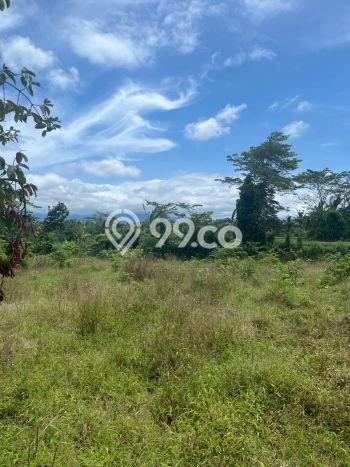 Tanah Kavling untuk Dijual di Baturiti Tabanan 7450m2 Tanah Kavling untuk Dijual di Baturiti Tabanan 7450m2