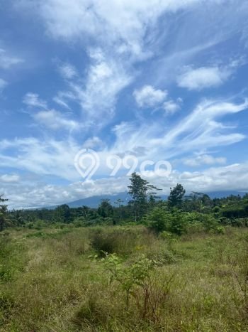 Tanah Kavling untuk Dijual di Baturiti Tabanan 7450m2 Tanah Kavling untuk Dijual di Baturiti Tabanan 7450m2