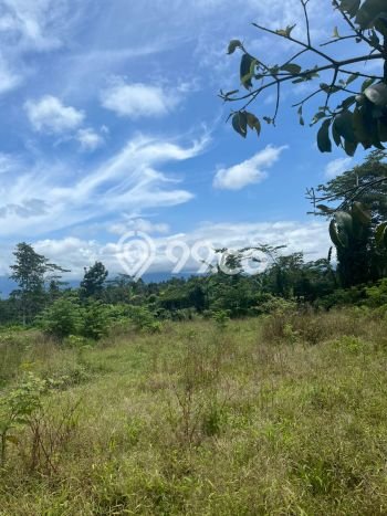 Tanah Kavling untuk Dijual di Baturiti Tabanan 7450m2 Tanah Kavling untuk Dijual di Baturiti Tabanan 7450m2