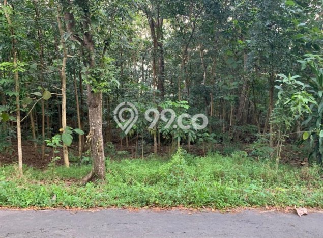 Tanah Komersial Dijual di Banyudono Boyolali 382m2 Tanah Komersial Dijual di Banyudono Boyolali 382m2