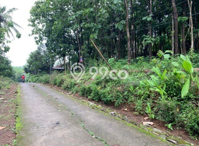 Kavling Tanah Dijual di Mojosongo, Boyolali, Luas 1243m2 Area Strategis Kavling Tanah Dijual di Mojosongo, Boyolali, Luas 1243m2 Area Strategis