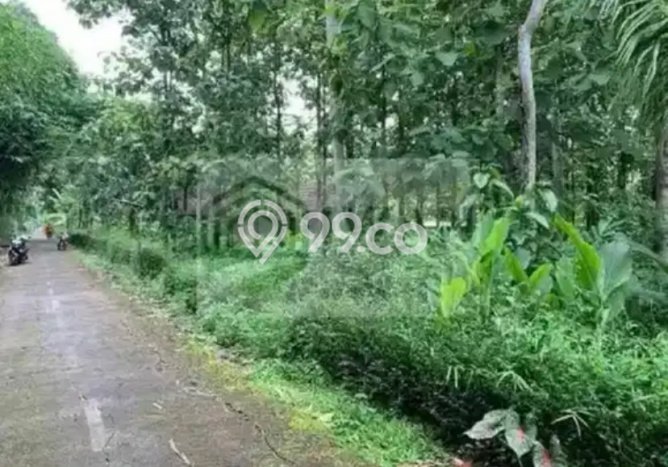 Tanah Kavling untuk Dijual di Mojosongo Boyolali 2297m2 Tanah Kavling untuk Dijual di Mojosongo Boyolali 2297m2
