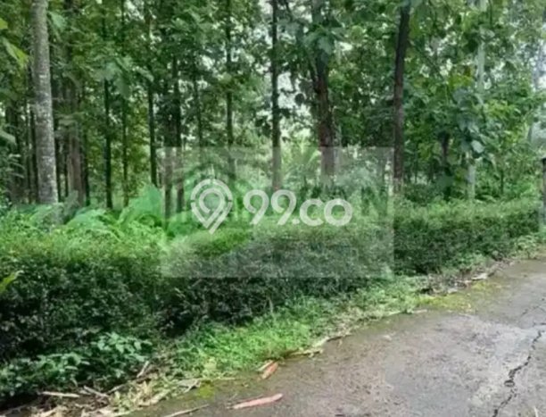 Tanah Kavling untuk Dijual di Mojosongo Boyolali 2297m2 Tanah Kavling untuk Dijual di Mojosongo Boyolali 2297m2