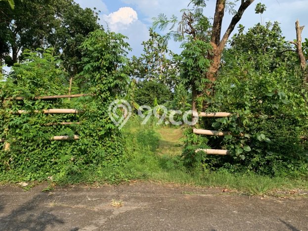 Lahan Kosong Dijual di Teras, Boyolali, Luas 1093m2 Area Strategis Lahan Kosong Dijual di Teras, Boyolali, Luas 1093m2 Area Strategis