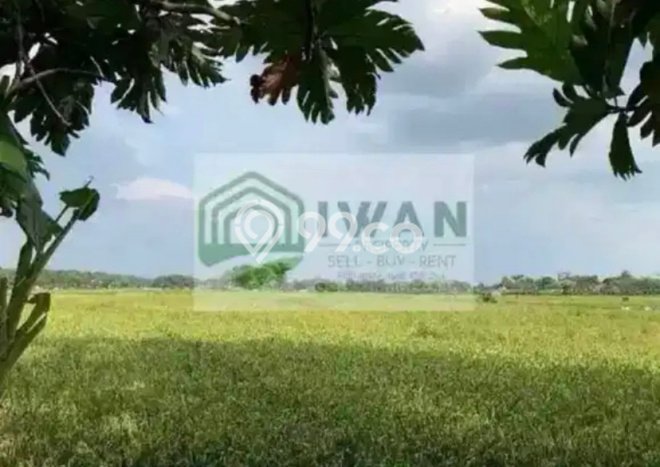 Lahan Kosong Dijual di Teras, Boyolali, Luas 1093m2 Area Strategis Lahan Kosong Dijual di Teras, Boyolali, Luas 1093m2 Area Strategis