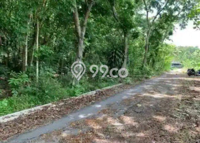 Lahan Kosong Dijual di Banyudono, Boyolali, Luas 382m2 Area Strategis Lahan Kosong Dijual di Banyudono, Boyolali, Luas 382m2 Area Strategis