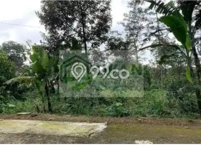 Lahan Strategis di Ampel Dijual dengan Luas 1085m2 Lahan Strategis di Ampel Dijual dengan Luas 1085m2