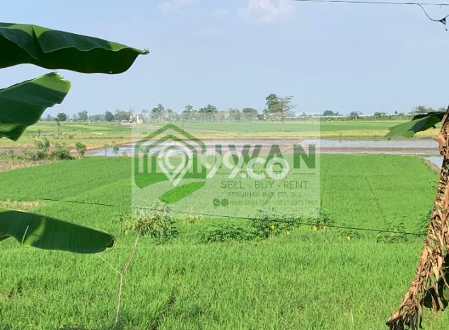 Tanah Dijual Lokasi Banyudono Boyolali SHM Tanah Dijual Lokasi Banyudono Boyolali SHM