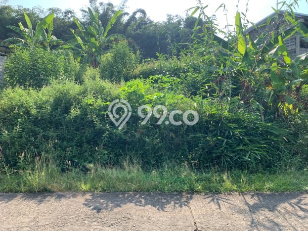 Tanah Dijual Lokasi Banyudono Boyolali SHM Tanah Dijual Lokasi Banyudono Boyolali SHM