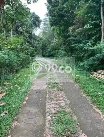 Tanah Kosong Dijual di Boyolali dengan Area 3000m2 Tanah Kosong Dijual di Boyolali dengan Area 3000m2
