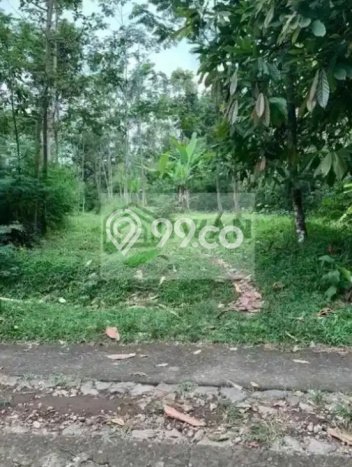Tanah Kosong Dijual di Boyolali dengan Area 3000m2 Tanah Kosong Dijual di Boyolali dengan Area 3000m2