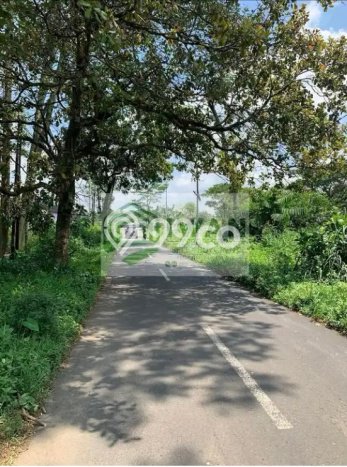 Dijual Tanah di Mojosongo Boyolali Luas 300m2 SHM Dijual Tanah di Mojosongo Boyolali Luas 300m2 SHM