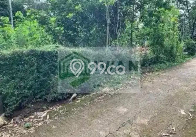 Tanah untuk Dijual di Mojosongo Boyolali Luas 700m2 Tanah untuk Dijual di Mojosongo Boyolali Luas 700m2