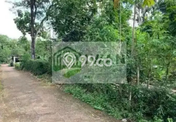 Tanah untuk Dijual di Mojosongo Boyolali Luas 700m2 Tanah untuk Dijual di Mojosongo Boyolali Luas 700m2