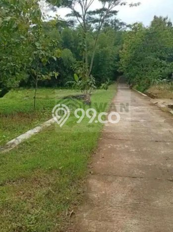Tanah Kavling untuk Dijual di Mojosongo Boyolali 4953m2 Tanah Kavling untuk Dijual di Mojosongo Boyolali 4953m2