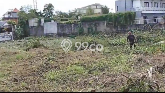 Tanah Disewakan Lokasi canggu Badung Luas 2000m2 Tanah Disewakan Lokasi canggu Badung Luas 2000m2