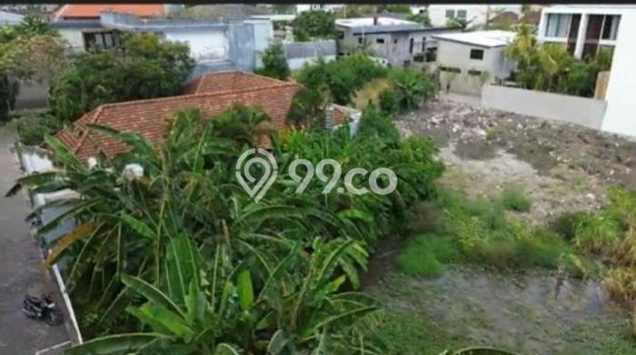 Tanah Disewakan Lokasi canggu Badung Luas 2000m2 Tanah Disewakan Lokasi canggu Badung Luas 2000m2