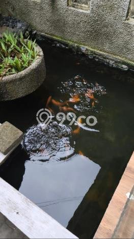 Vila Terawat Kawasan , Area 200m2m², Lingkungan Tenang dan aman Vila Terawat Kawasan , Area 200m2m², Lingkungan Tenang dan aman
