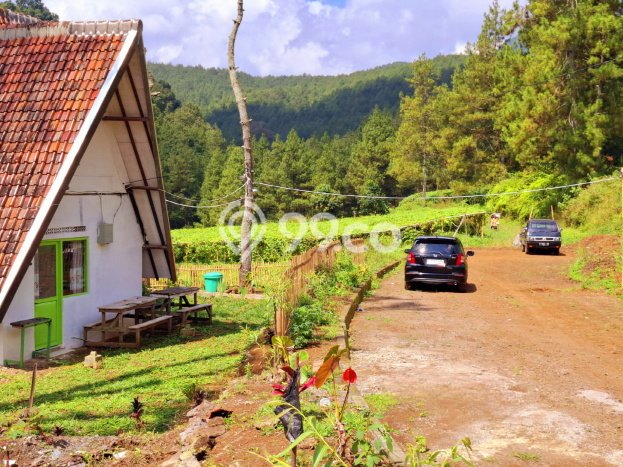 Jual Cepat! Vila Kawasan Pasirjambu, Luas 237m2m², Area Berkembang dengan nilai meningkat Jual Cepat! Vila Kawasan Pasirjambu, Luas 237m2m², Area Berkembang dengan nilai meningkat