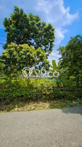 Dijual Tanah di Tapos Depok Luas 482m2 SHM Dijual Tanah di Tapos Depok Luas 482m2 SHM