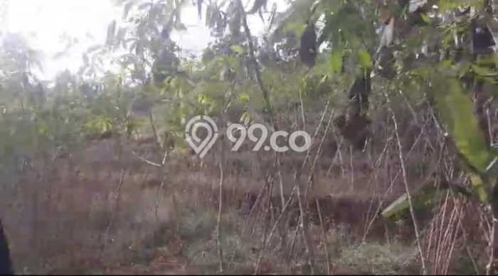 Tanah Siap Bangun Dijual di Bandung Punya Luas 24800m2 Tanah Siap Bangun Dijual di Bandung Punya Luas 24800m2