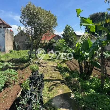 Rumah Sederhana Dijual Lokasi Tanjungsari 5 Kamar dengan LT 1700m2 Rumah Sederhana Dijual Lokasi Tanjungsari 5 Kamar dengan LT 1700m2