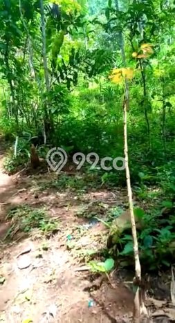 Jarang Ada! Tanah di Sumedang Selatan Punya Luas 29832m2 - Jarang Ada! Tanah di Sumedang Selatan Punya Luas 29832m2 -
