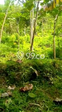 Jarang Ada! Tanah di Sumedang Selatan Punya Luas 29832m2 - Jarang Ada! Tanah di Sumedang Selatan Punya Luas 29832m2 -