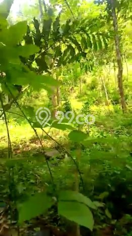 Jarang Ada! Tanah di Sumedang Selatan Punya Luas 29832m2 - Jarang Ada! Tanah di Sumedang Selatan Punya Luas 29832m2 -