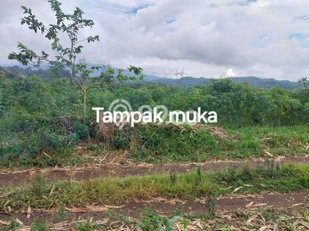 Tanah Strategis Dijual di Pamulihan Sumedang 11200m2 Tanah Strategis Dijual di Pamulihan Sumedang 11200m2