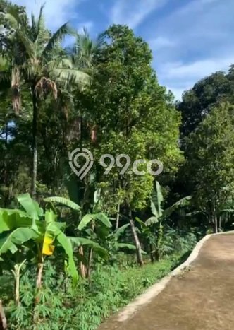 Tanah Kavling Dijual di Dago Pakar, Bandung dengan Luas Tanah 9100m2 Tanah Kavling Dijual di Dago Pakar, Bandung dengan Luas Tanah 9100m2