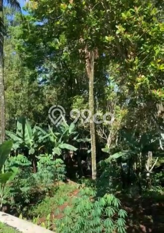 Tanah Kavling Dijual di Dago Pakar, Bandung dengan Luas Tanah 9100m2 Tanah Kavling Dijual di Dago Pakar, Bandung dengan Luas Tanah 9100m2