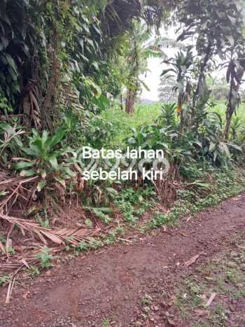 Tanah Strategis Dijual di Pamulihan Sumedang 11200m2 Tanah Strategis Dijual di Pamulihan Sumedang 11200m2